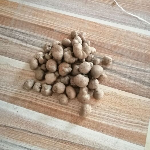 清丰县 分捡好的山药豆