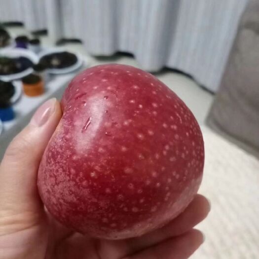 咸阳 乾县秦冠苹果