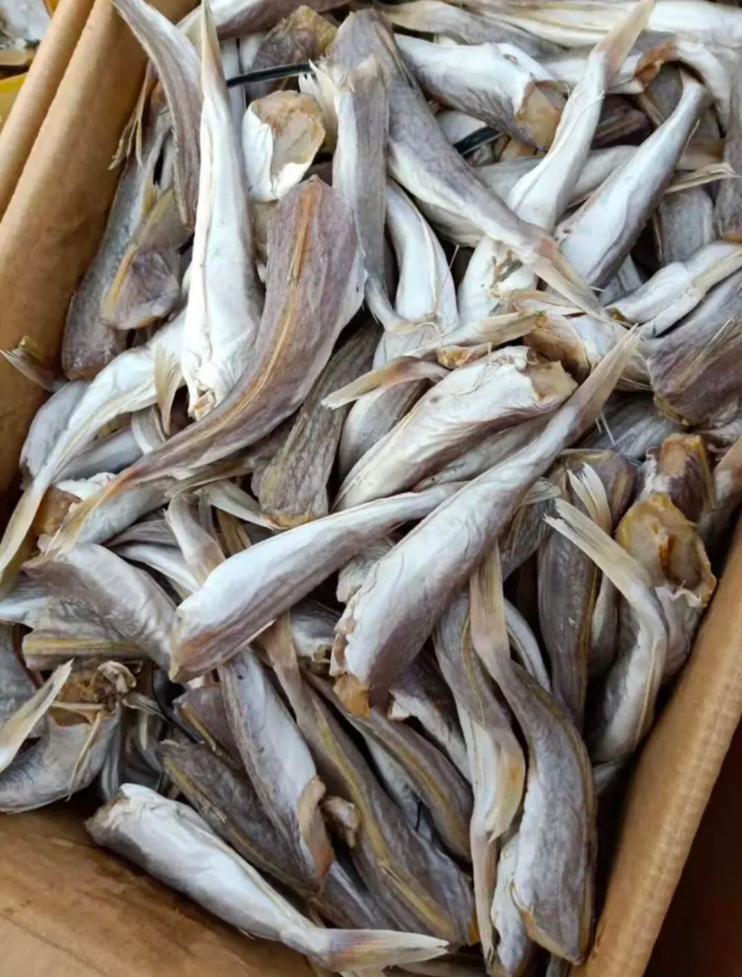 滨州红娘鱼，又叫皮棍鱼，一款咸鱼，自然晾晒好的，干度半成左右