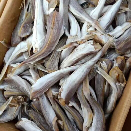 滨州红娘鱼，又叫皮棍鱼，一款咸鱼，自然晾晒好的，干度半成左右