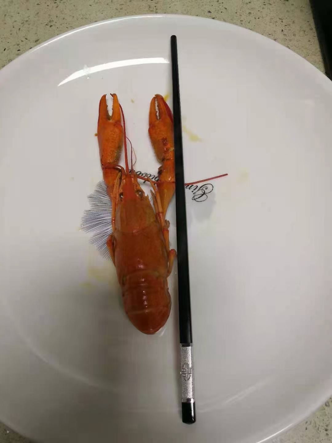 澳洲龙虾 优质清水蓝龙虾，肉质饱满，个头大，不空壳