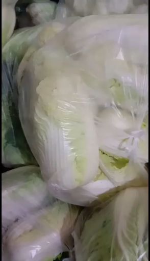 内黄县白菜 高山娃娃菜