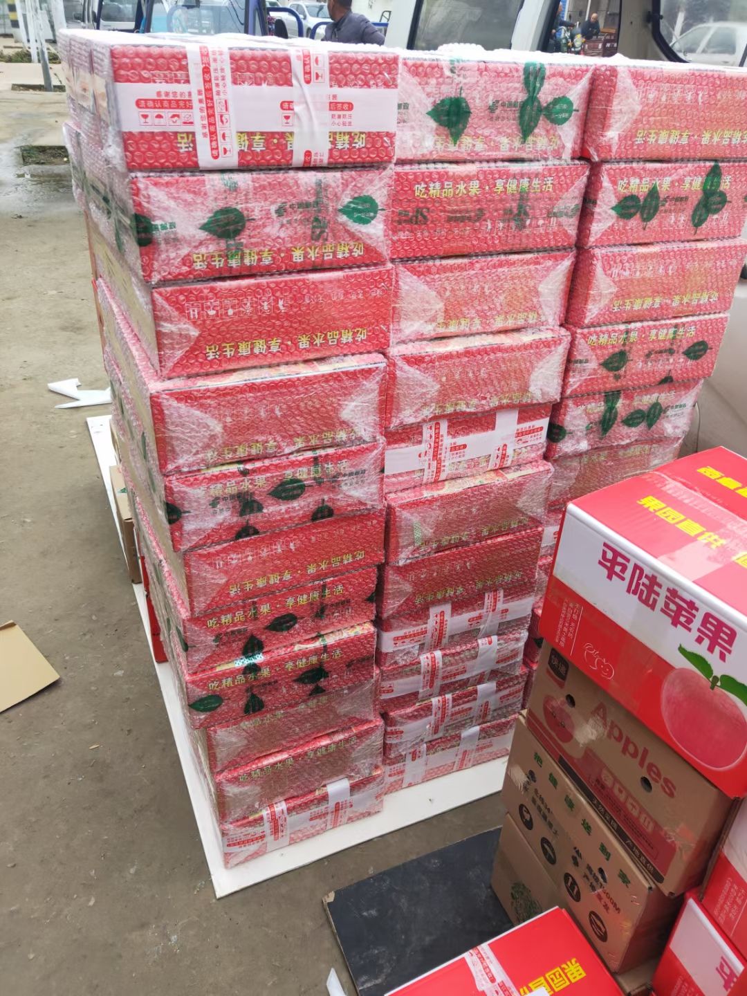 烟台红富士苹果 膜袋 片红 一级果 