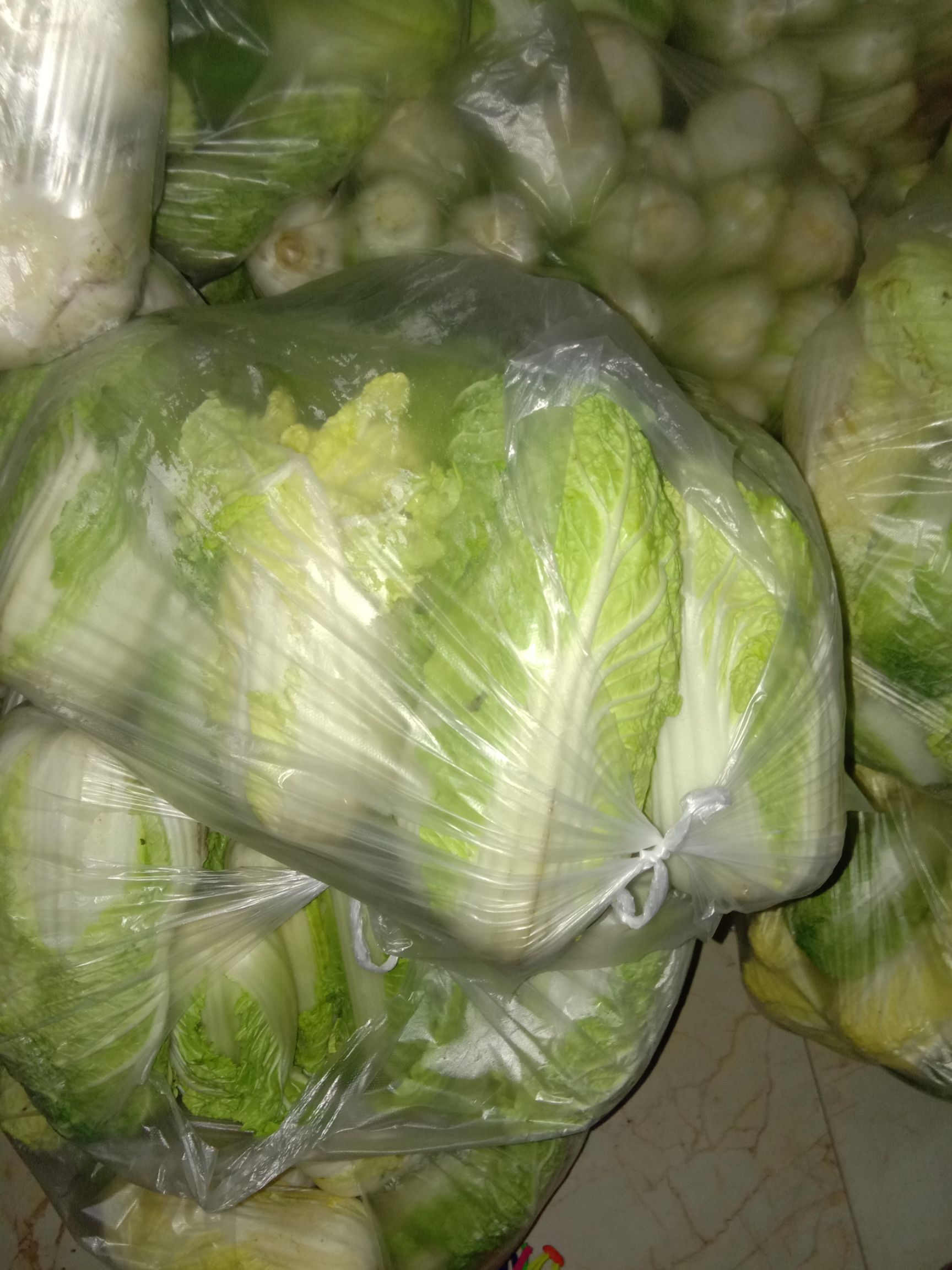 娃娃菜，大娃娃菜！！！