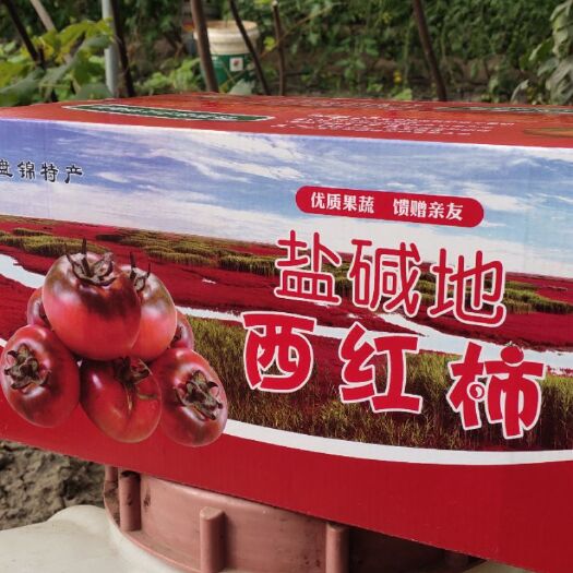 盘锦西红柿  辽宁盘锦碱地柿子口感回味，有丰富营养