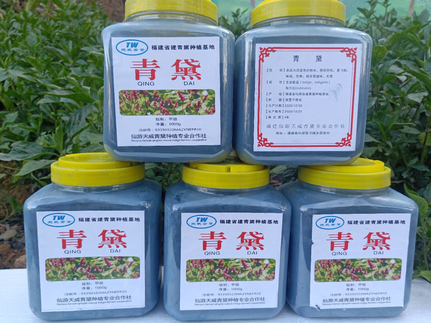 25版全检合格青黛、马蓝、蓼蓝、草大青