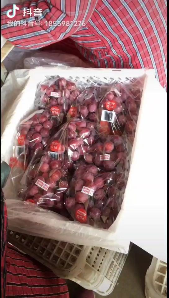 500亩红提基地自产自销！严格按照红提品质标准种植！！进