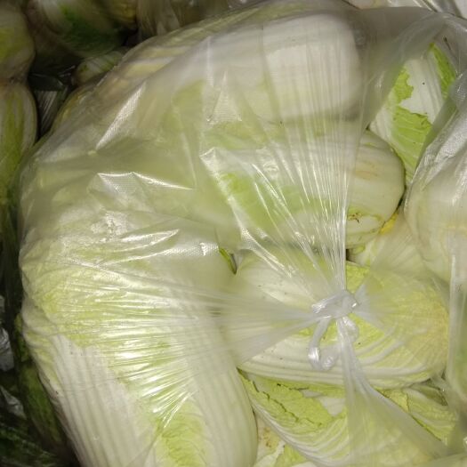 内黄县白菜 高山娃娃菜！！！