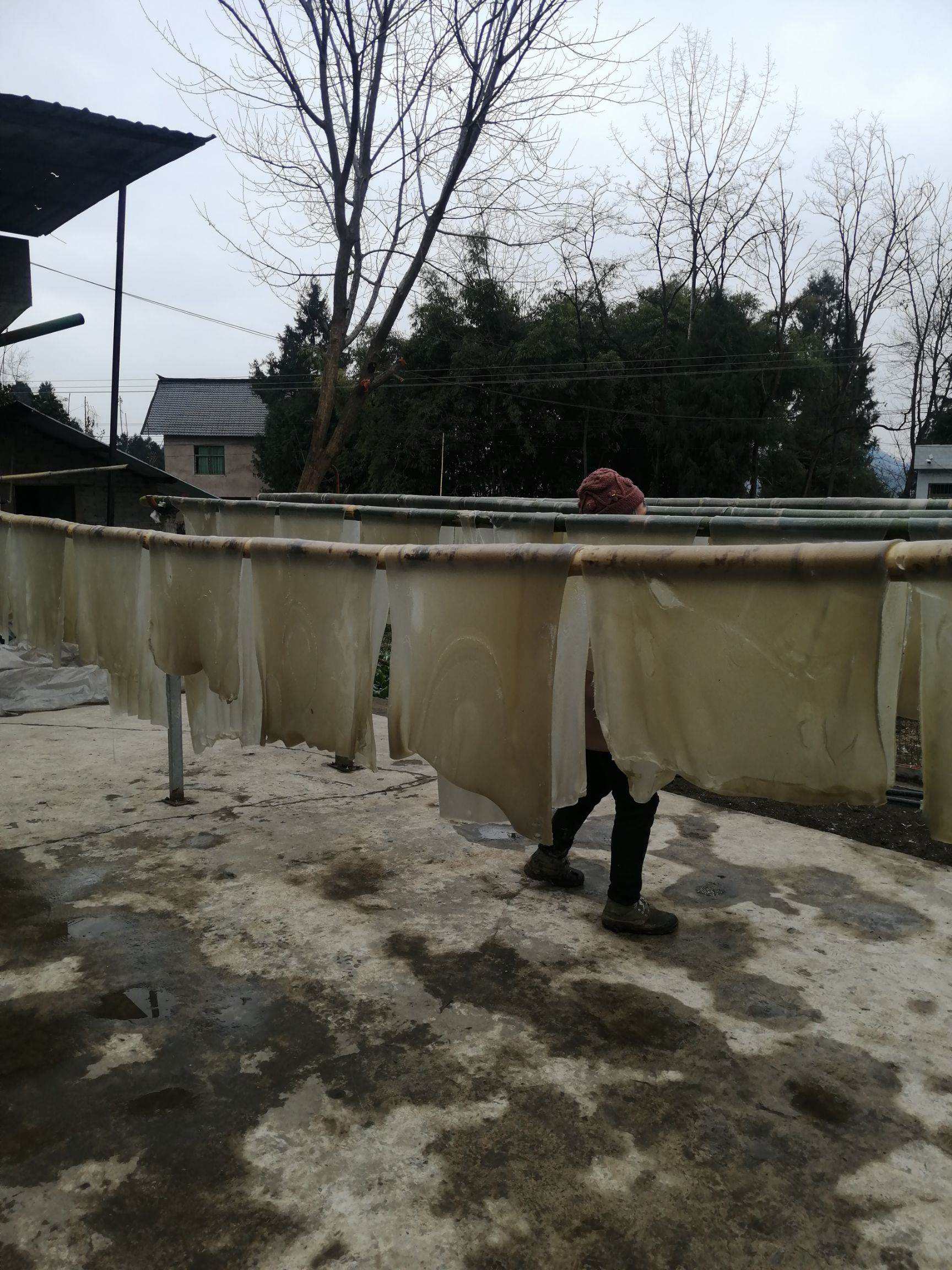 红薯干粉 农家纯手工天然红薯粉，全手工无任何防腐剂，通过检测无胶无明矾