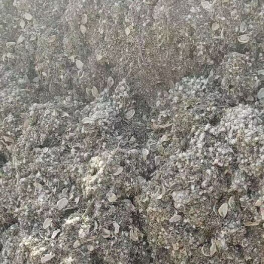 和静县棉渣  量大从优
