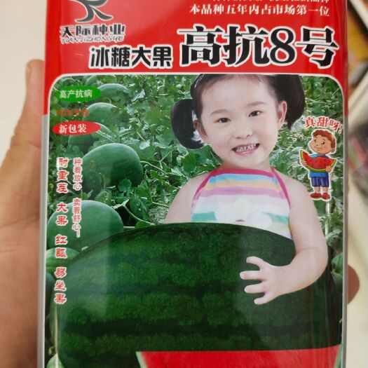 扶沟县丰抗八号西瓜种子  丰抗8号冰糖，大果