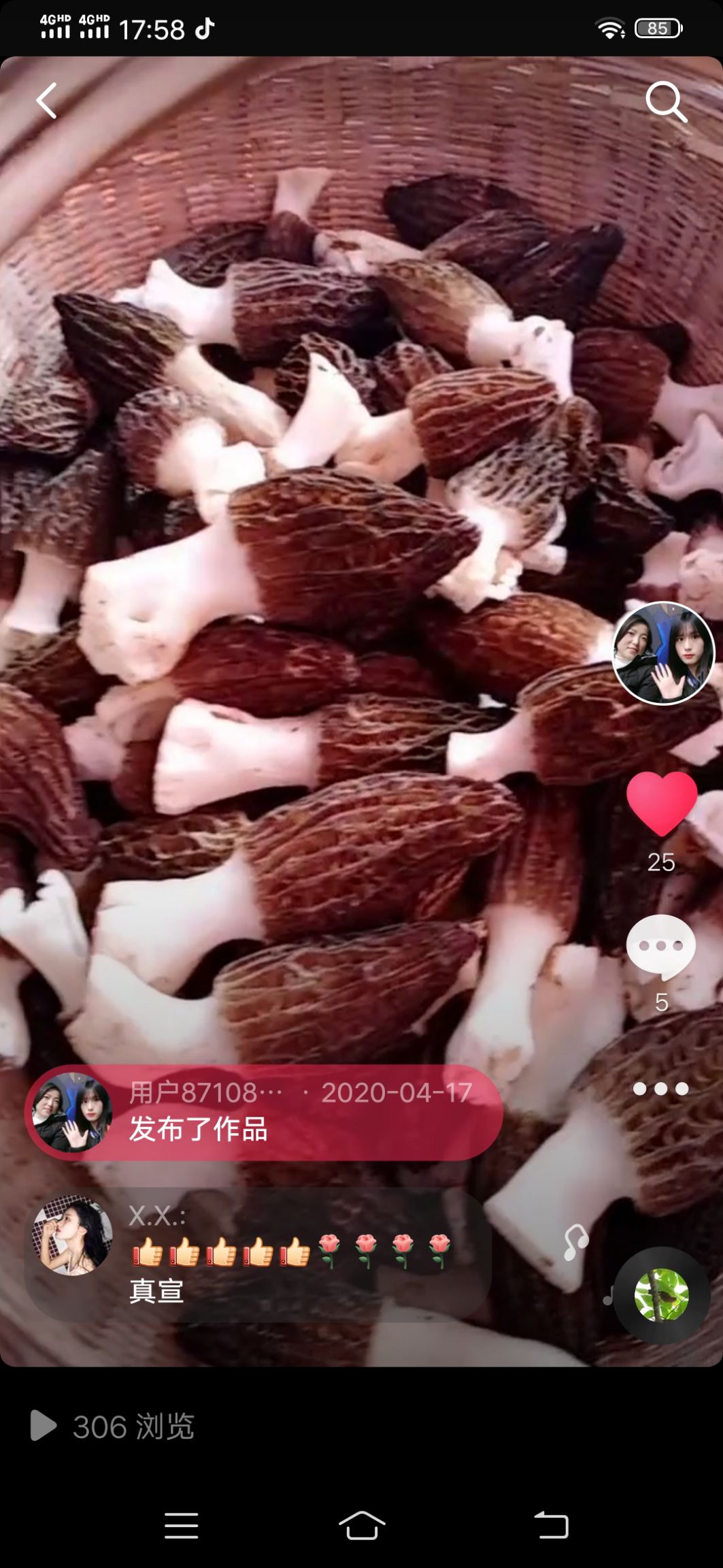 依山傍水，山清水秀，是羊肚菌生长的好地方！