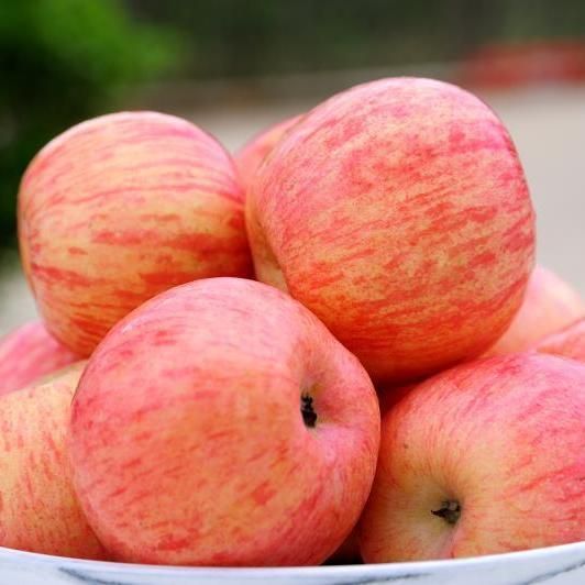 红富士苹果，新西兰爱妃苹果