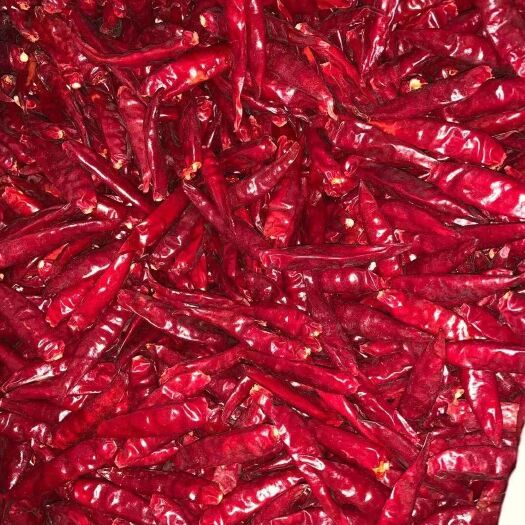 深州市 🔥号外！号外！卖辣椒🌶️卖辣椒🌶️个个都是亲手摘捡。