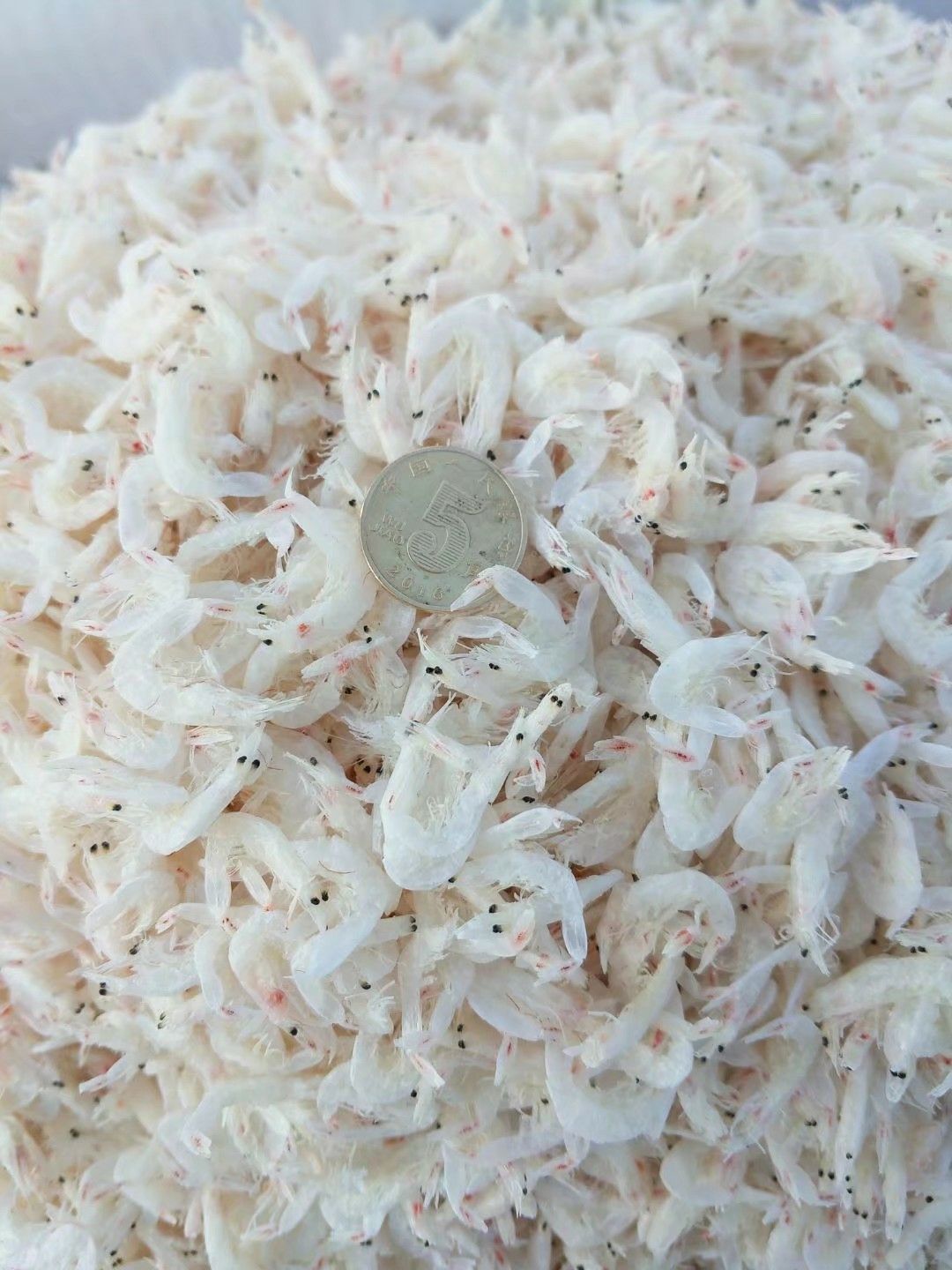 虾皮 水晶虾皮 淡干无盐 无杂质 各种规格可选 支持一件代发