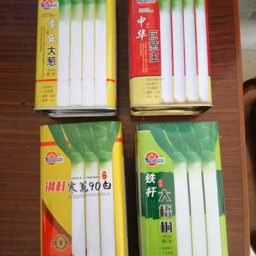 商丘长白大葱种子 各种国产大葱种子，质量好，纯度高，耐寒耐热
