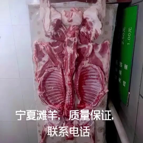 羊肉类  宁夏回族自治区清真滩羊肉质量保证