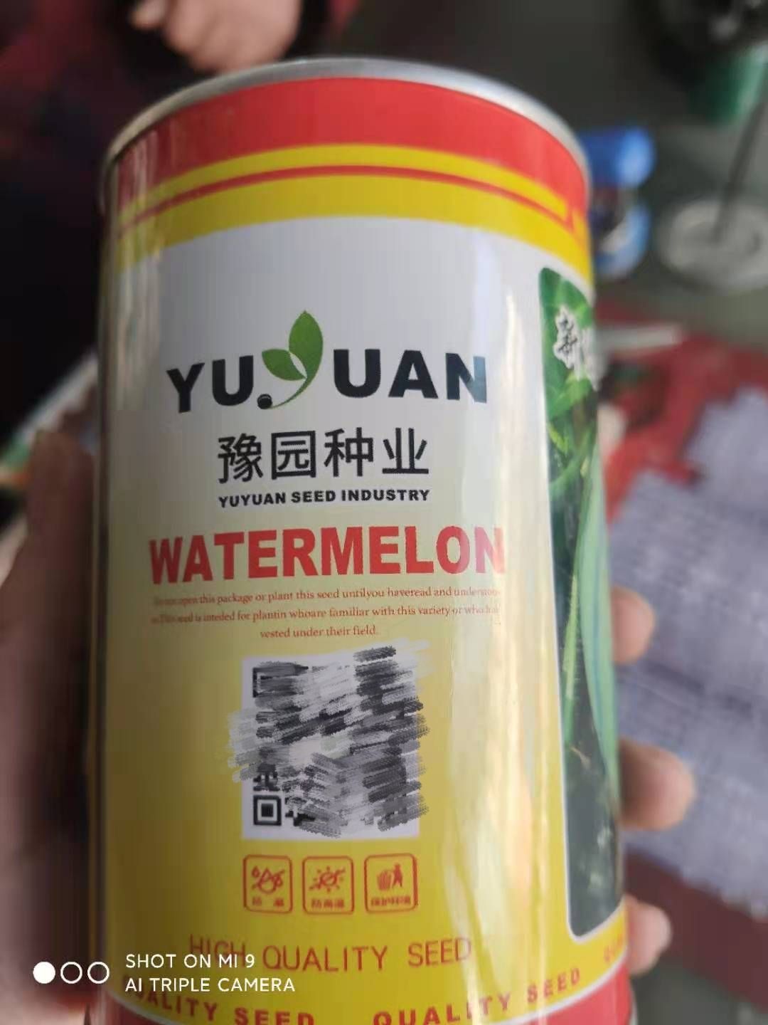 美都西瓜种子 美都杂交西瓜种子口感极好甜度高(400粒)(三毛钱一粒