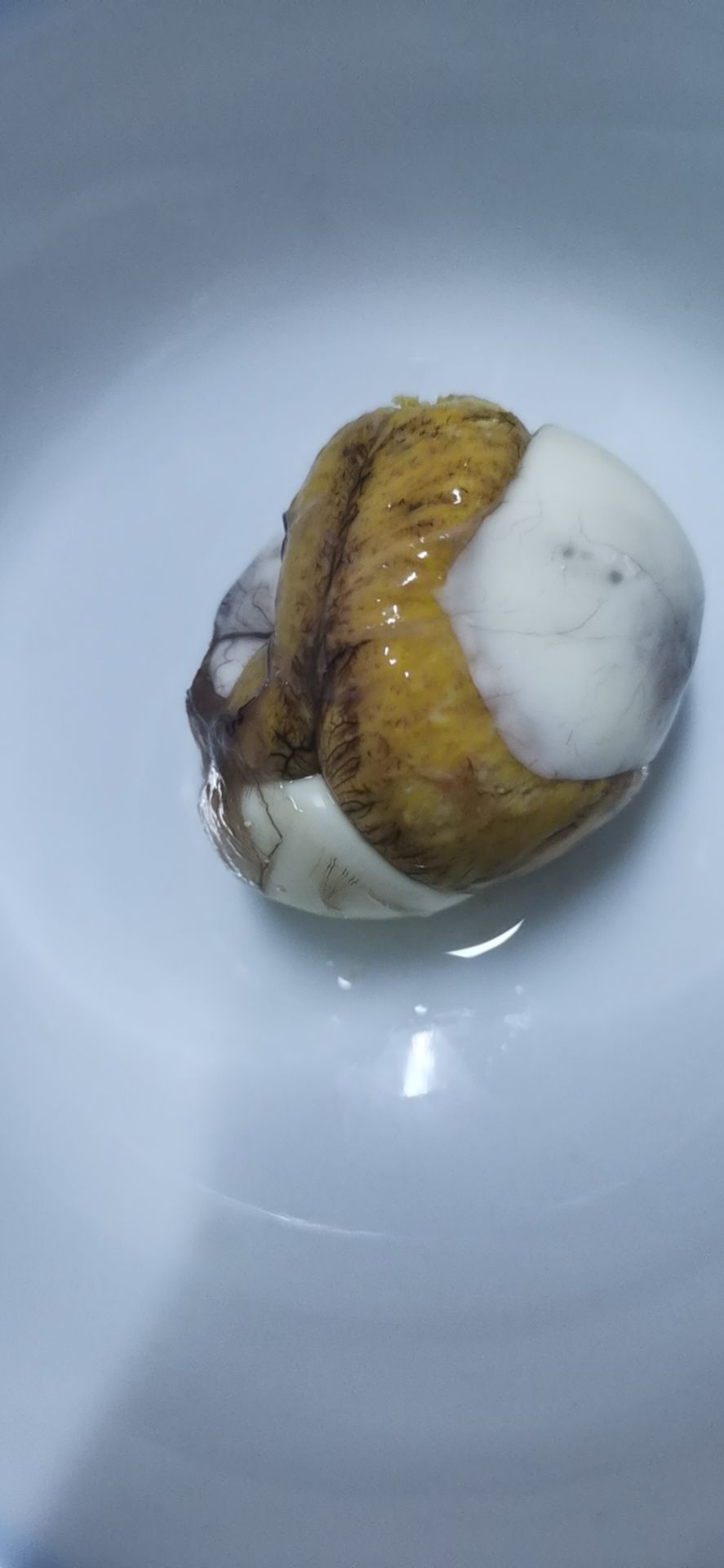 活珠子 十八天毛鸡蛋