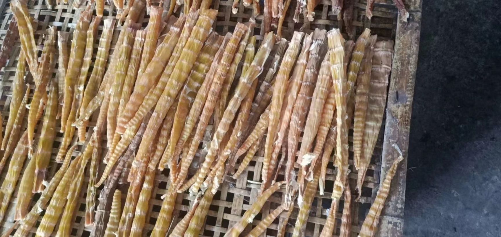 八月笋  无烟无硫筒筒笋嫩度百分之98干度百分之98泡发一天就能下锅
