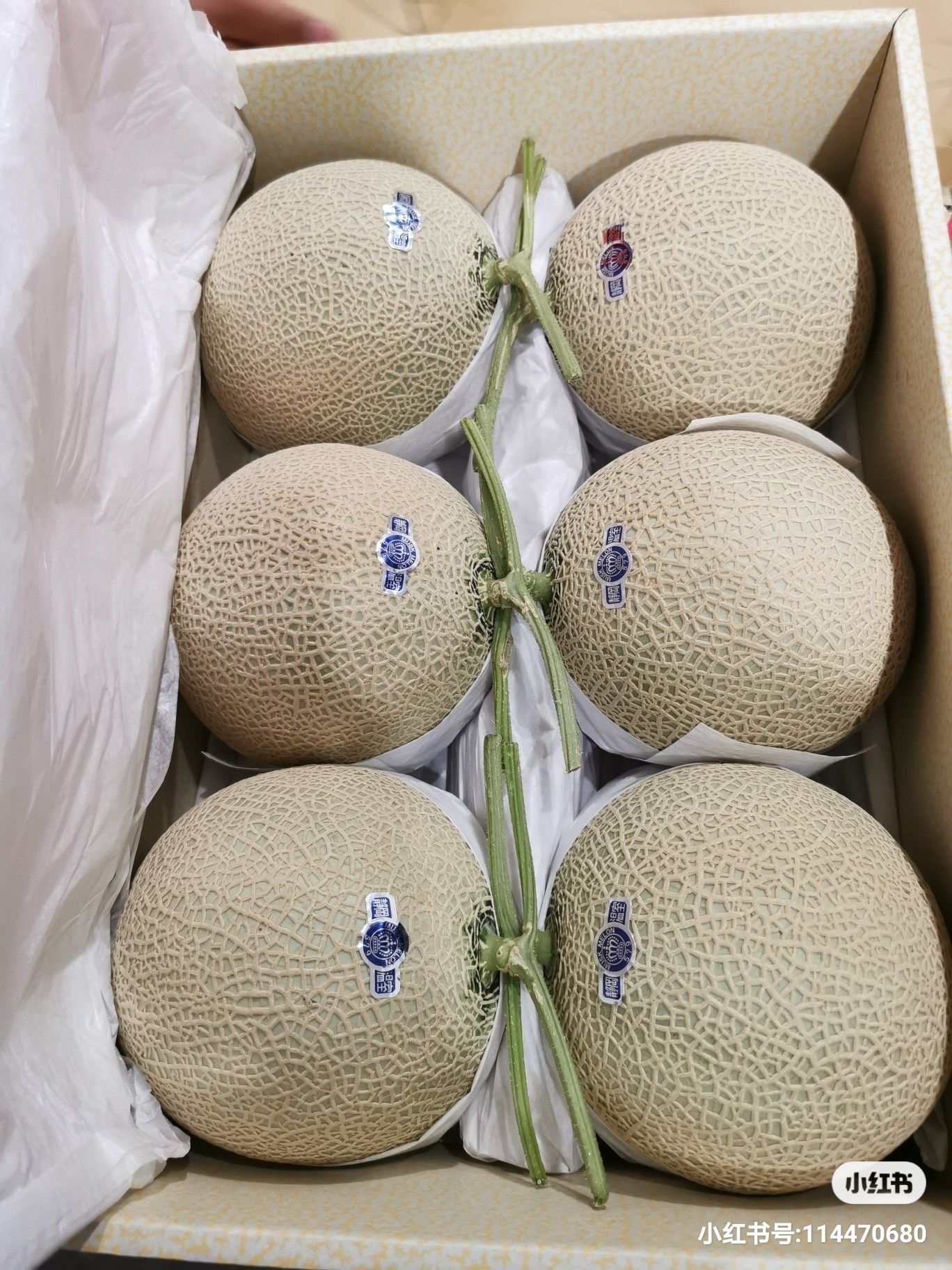 日本静冈蜜瓜 日本静冈网文蜜瓜