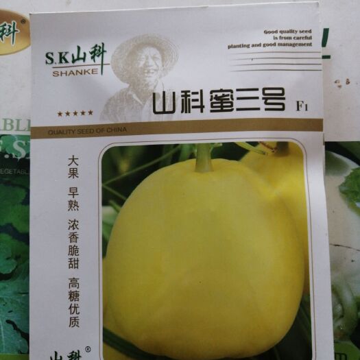 临沂科蜜三号  优质高端薄皮甜瓜种子