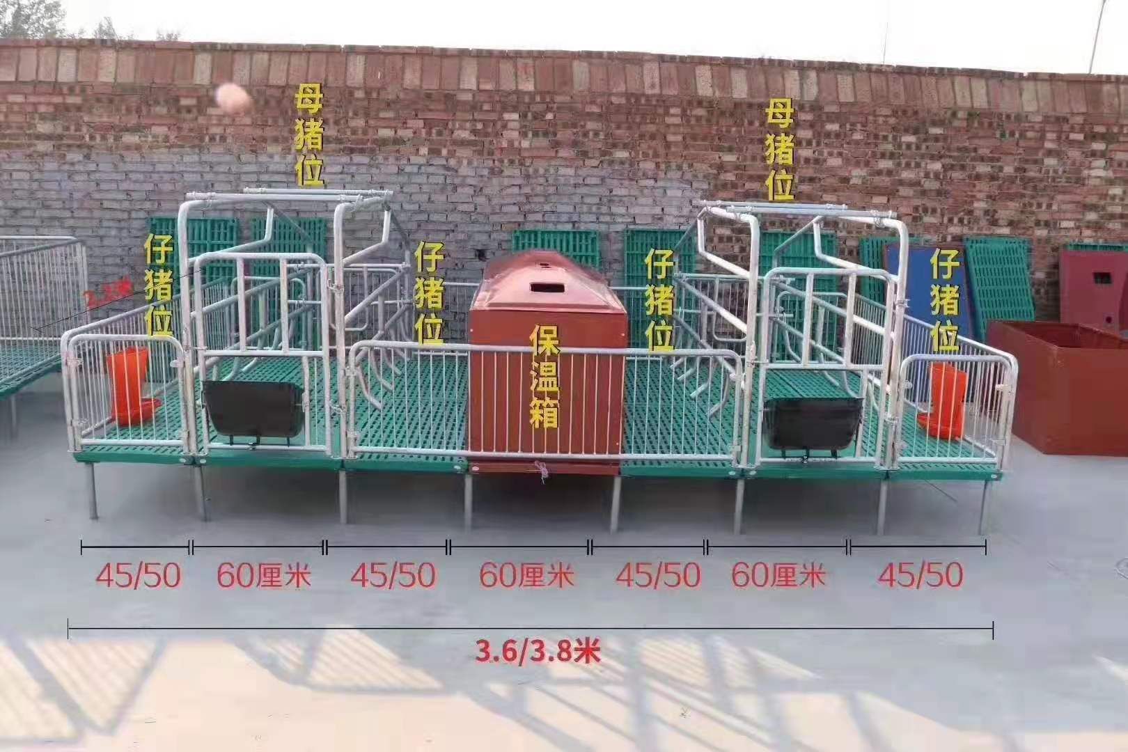  复合母猪产床保育床单体产床仔猪保育限位栏复合板型号齐全