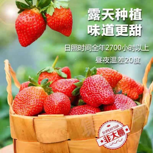 德昌县 大凉山德昌草莓