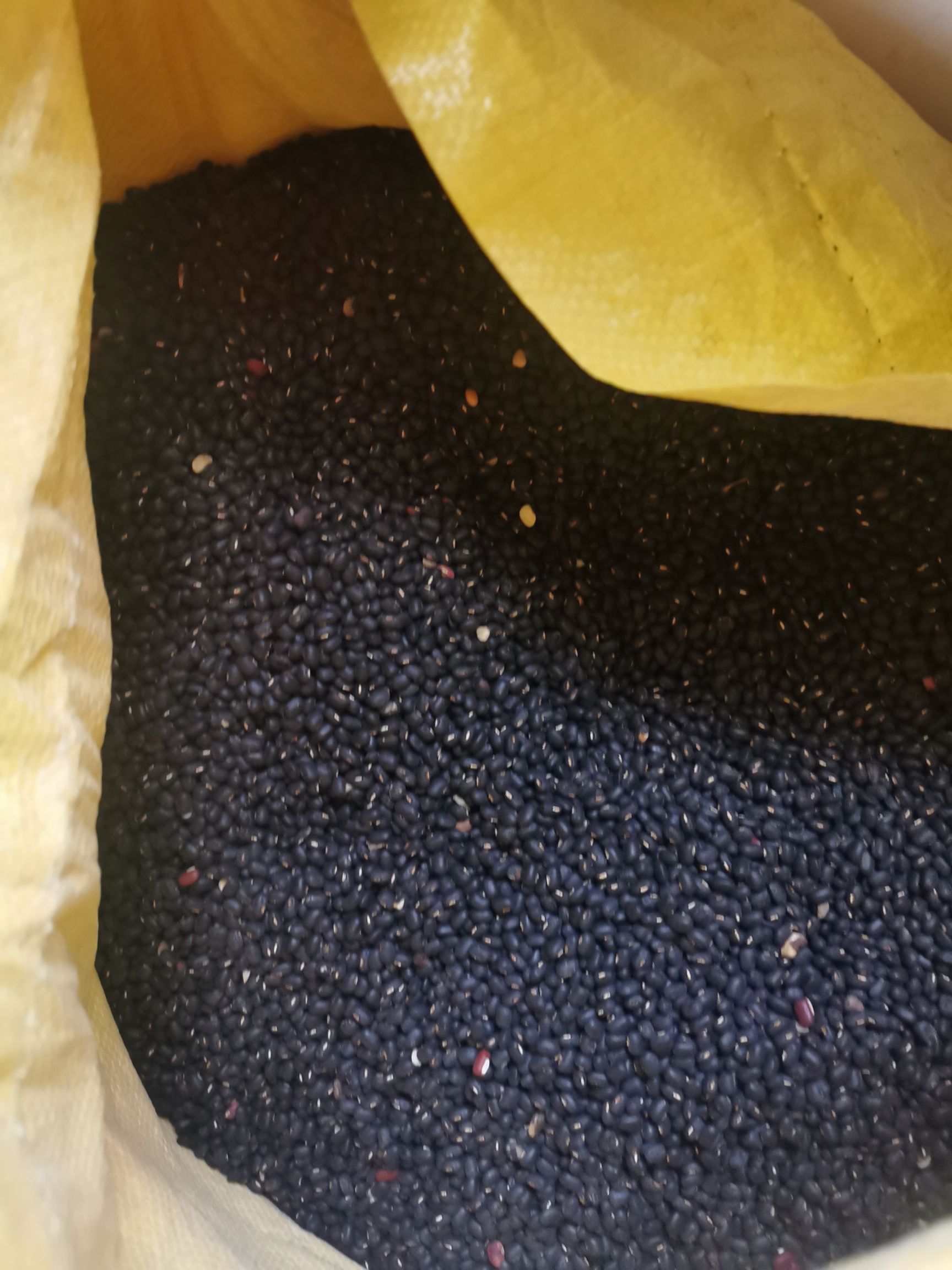 黑大豆 农家自种黑豆