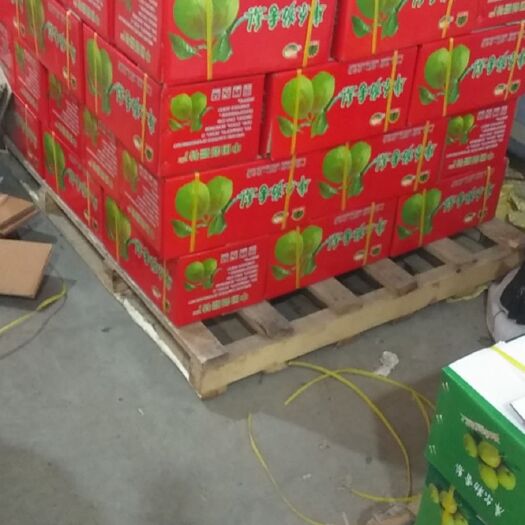 库尔勒市 香梨 分级 特大 特级 负特 一级 二级