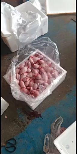 羊宝  宁夏回族自治区清真牛羊肉，牛羊副产品批发销售，质量保