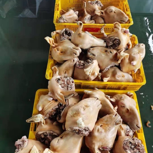 羊头 宁夏回族自治区清真牛羊肉，牛羊副产品批发销售，质量保证