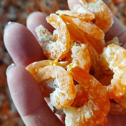 滨州烤虾，海米，虾仁