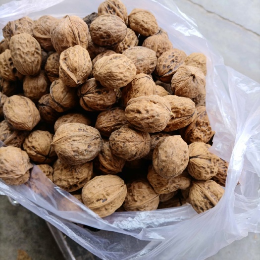 西昌市泡核桃 货在四川凉山西昌市，溥皮核桃，大山出产，提神健脑，孕妇零食
