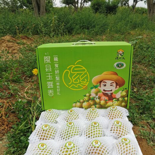 隰县爆汁的山西隰县玉露香梨精品礼盒一件代发