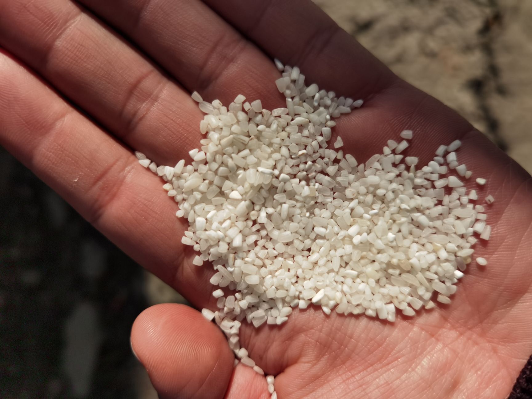 缅甸大米 缅甸aa级双抛双选硬碎。加厚型包装袋。