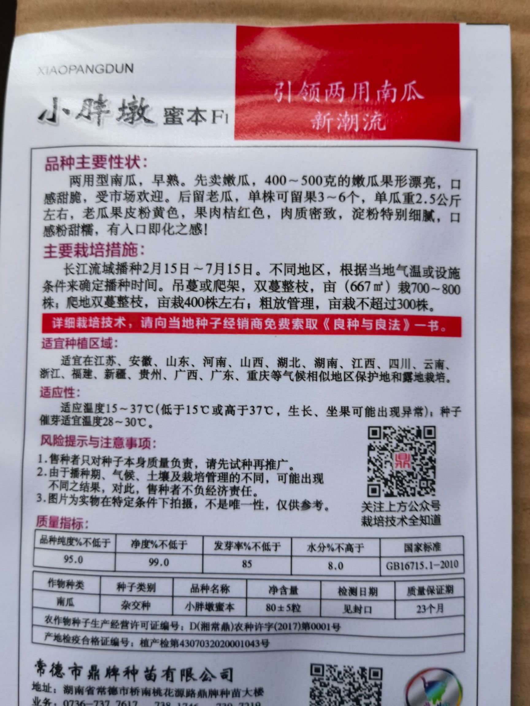 鼎牌小胖墩蜜本南瓜种子，嫩瓜老瓜品质均优，口感甜糯