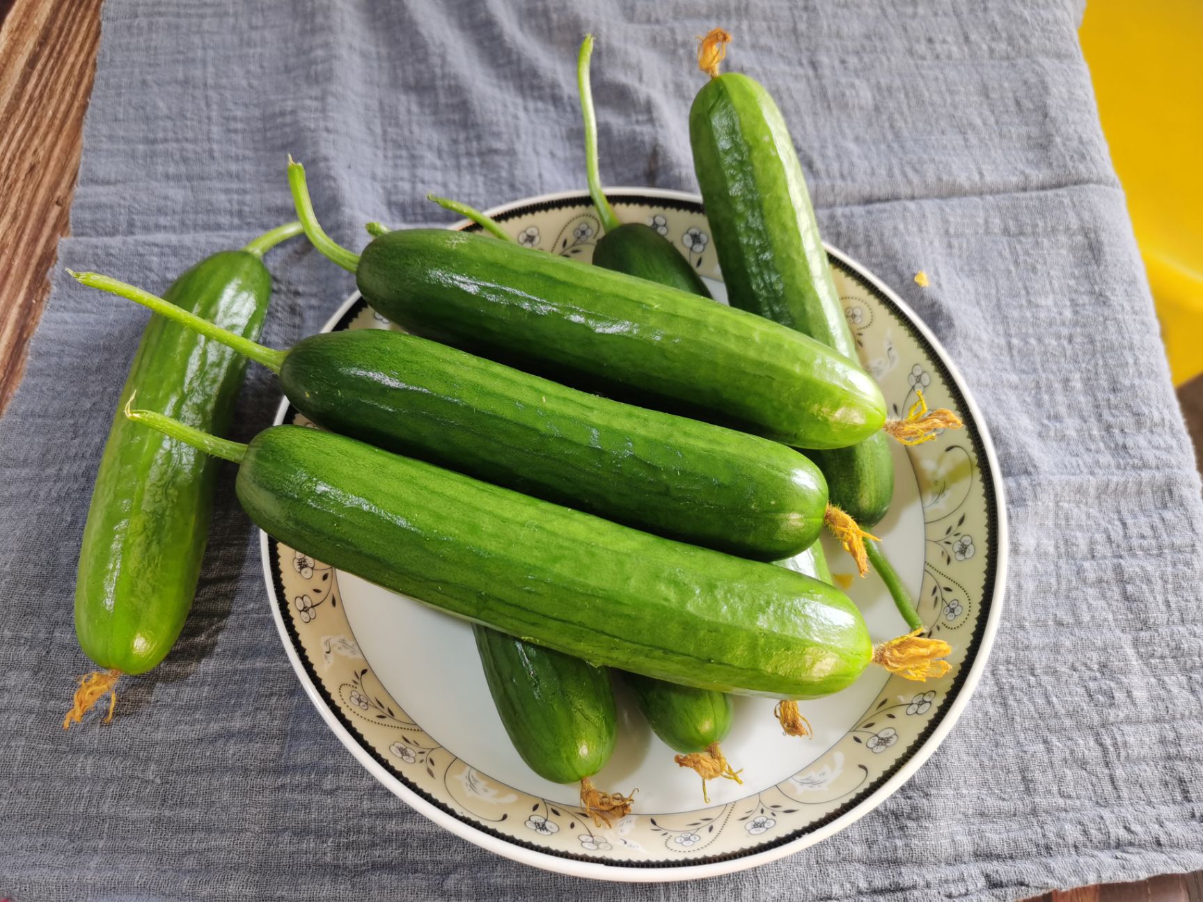 无刺水果黄瓜，荷兰小青瓜，无刺顺直，