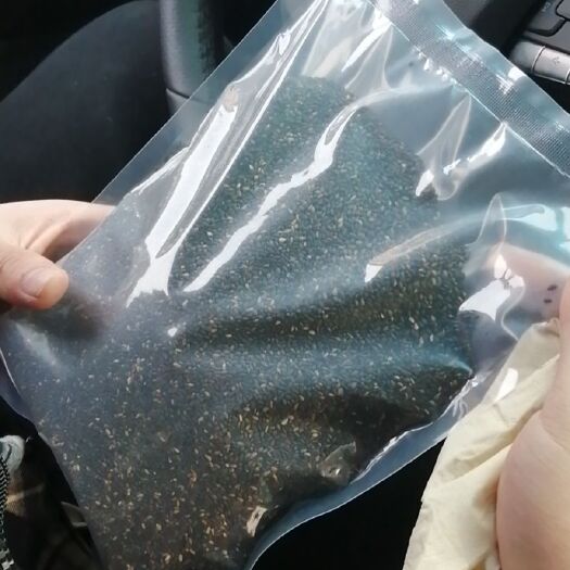 阜阳黑芝麻 