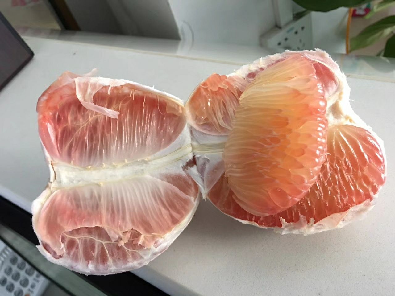 青柚  泰国红心柚子