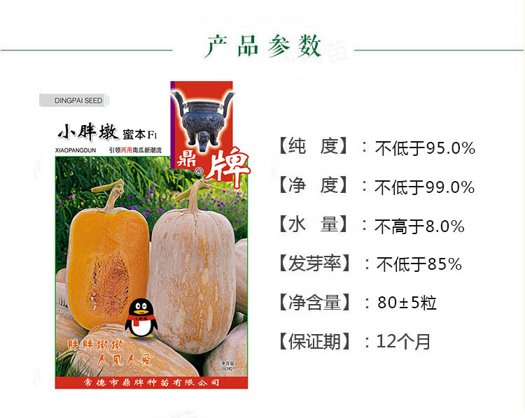 鼎牌小胖墩蜜本南瓜种子，嫩瓜老瓜品质均优，口感甜糯