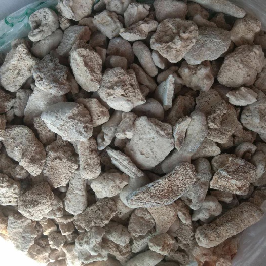郑州五花龙骨 