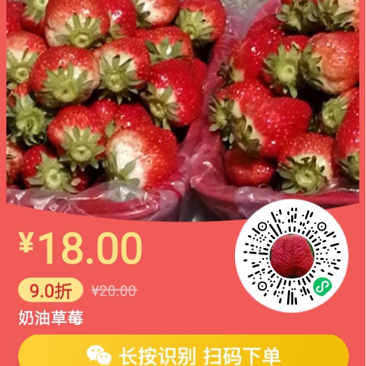 眉县有机草莓  奶油草莓