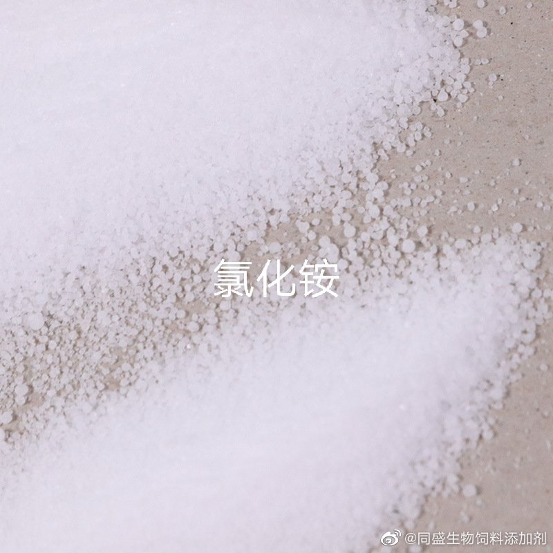 牛羊饲料  饲料级氯化铵羊饲料添加剂 山东同盛现货供应  纯度99.5