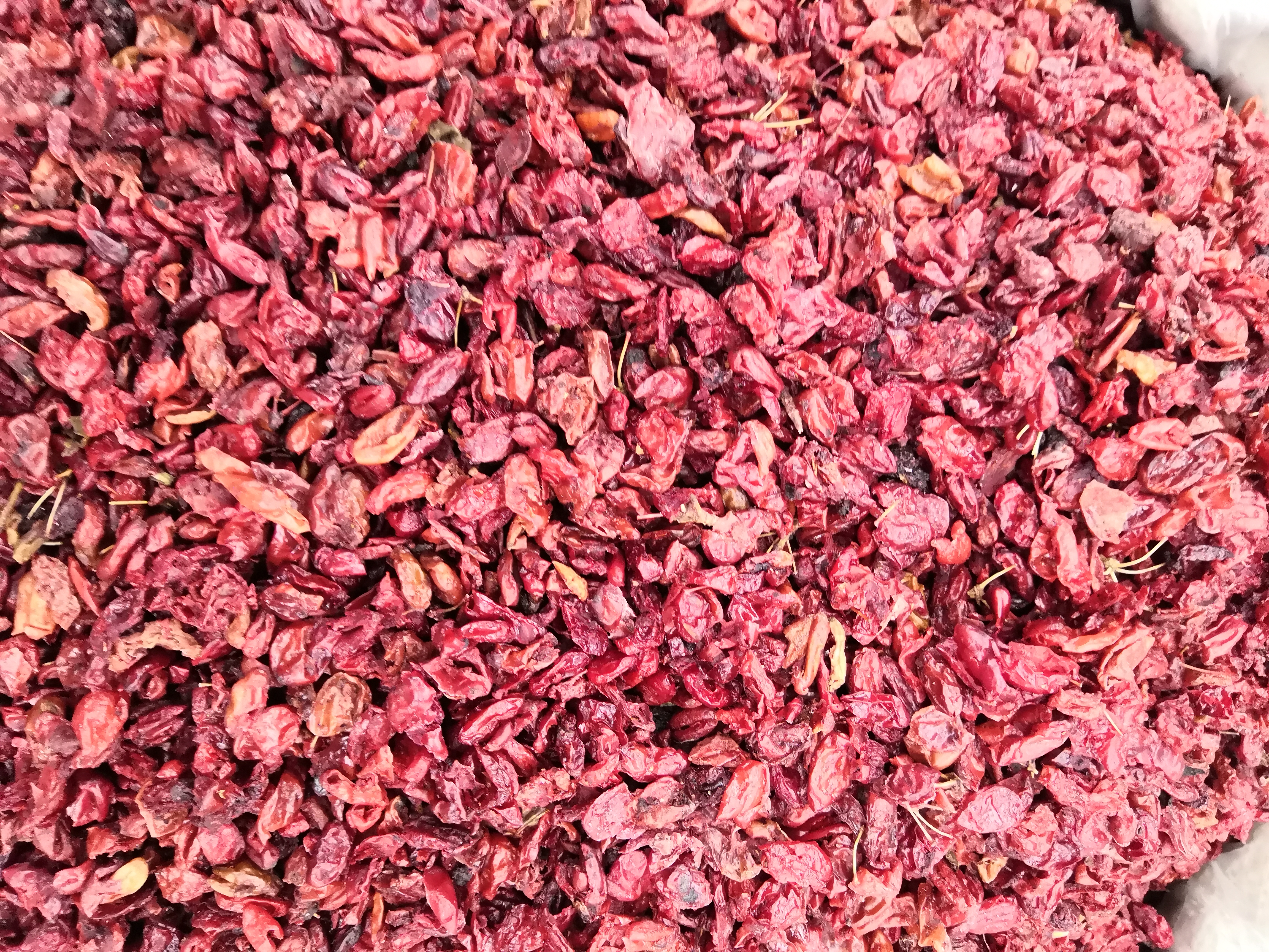 山茱萸   山萸肉 批发各种 中药材 新货 无硫 新货