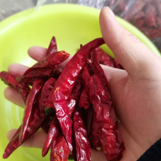 鱼台县山东高辣干辣椒，长6-9cm，红莹剔透，无花斑