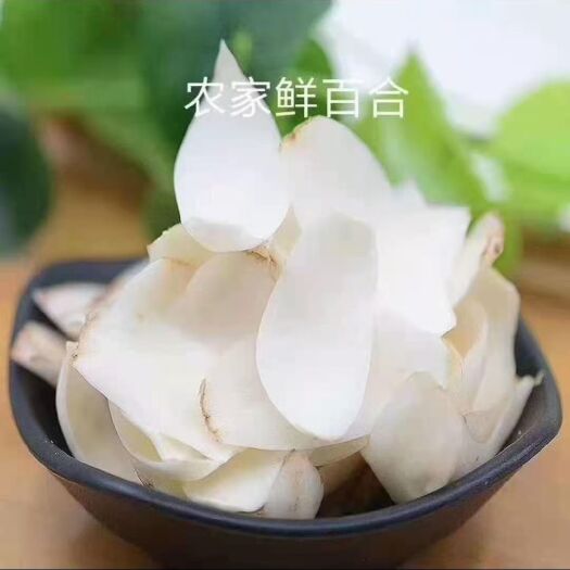 永靖县白百合 