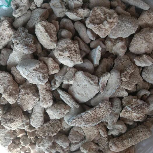 郑州正品化石龙骨，药效好