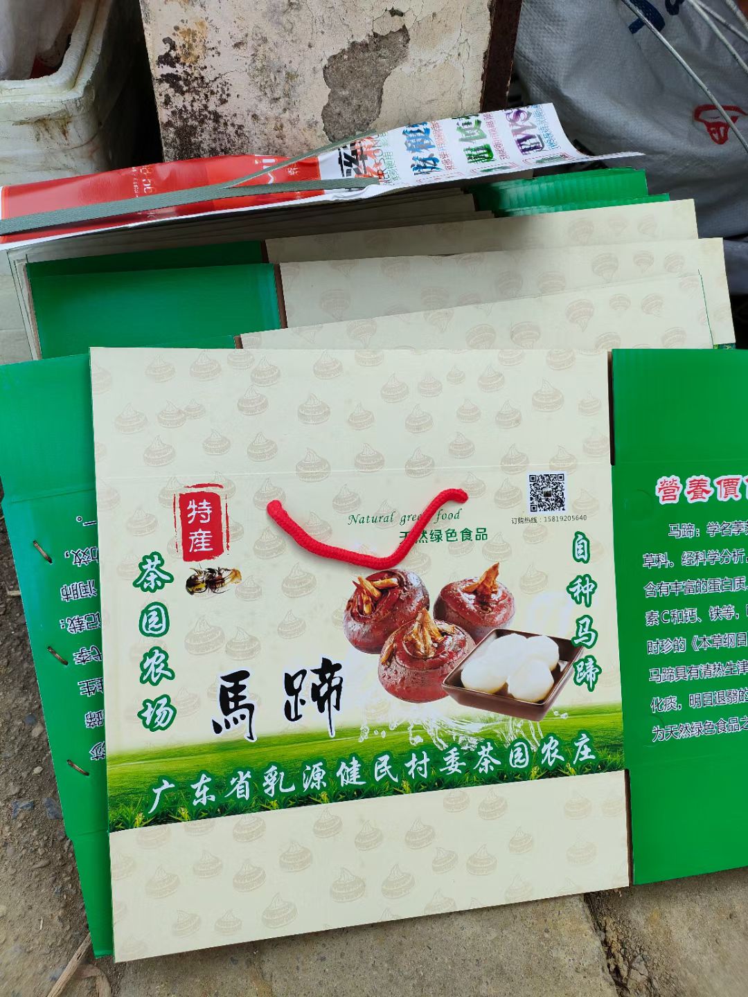 乐昌马蹄 农家自种马蹄