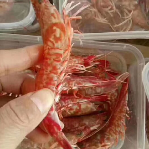 红虾  樱花虾，深海虾，小件试样10盒包邮，量大可谈